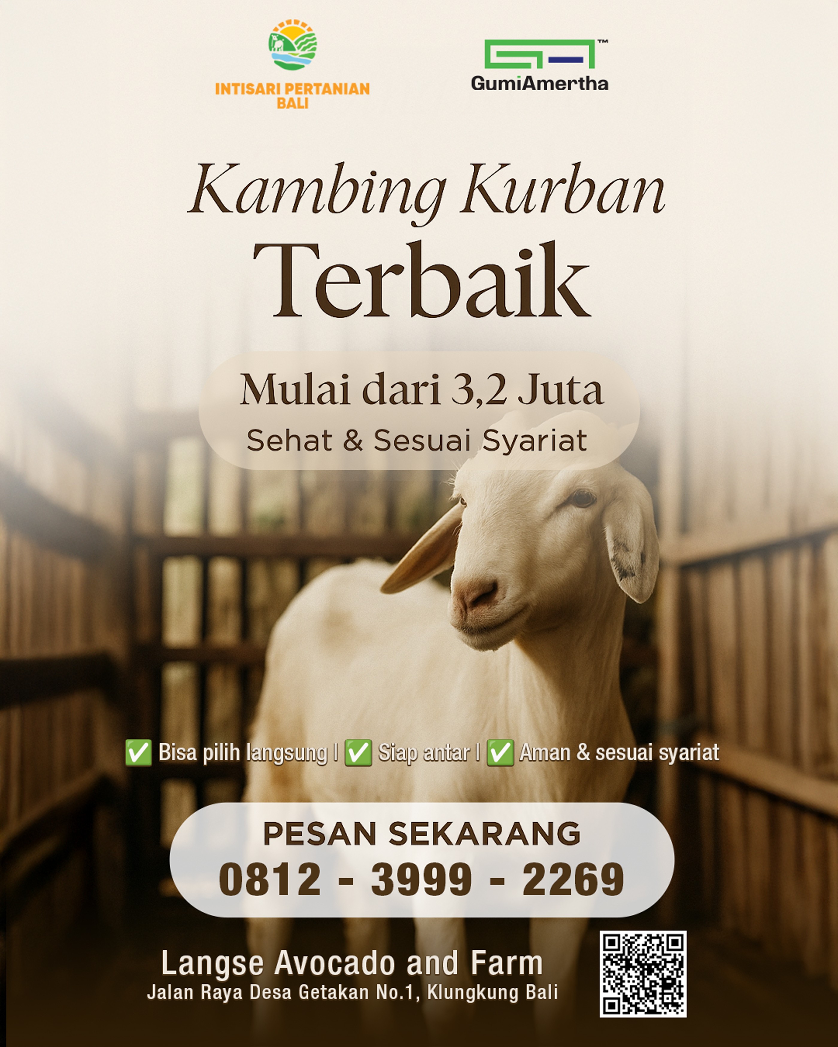 Promo Kurban